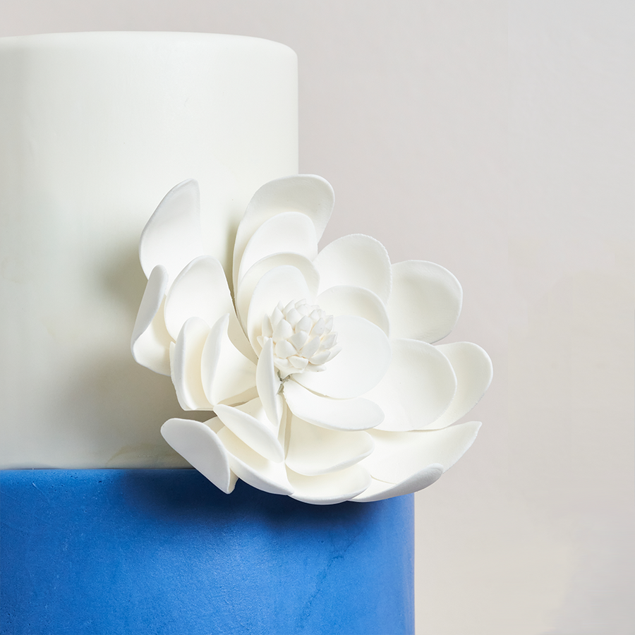Fondant covered cake - 2 tier with stunning sugar flower